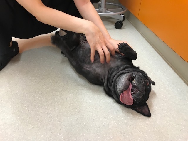 image1.jpeg