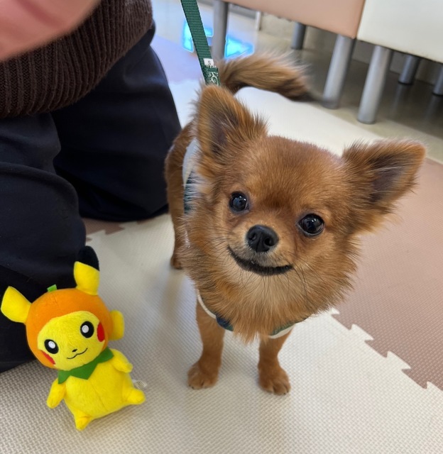 堀江ポチ2022.01.05.jpg