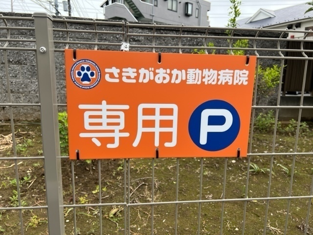 image1.jpeg
