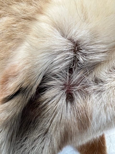 image2 2.jpeg