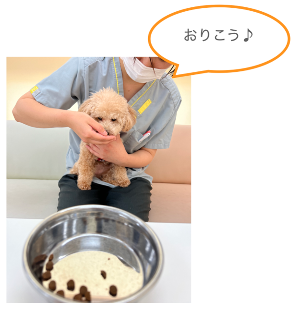 スクリーンショット 2022-08-21 0.11.49.png