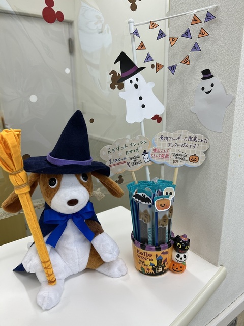 IMG_2478.jpeg