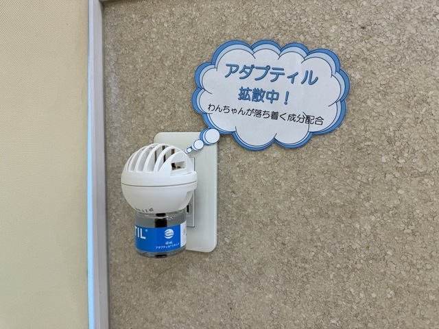 0C191032-43C9-4679-AF6A-B9F5619D106B.jpeg