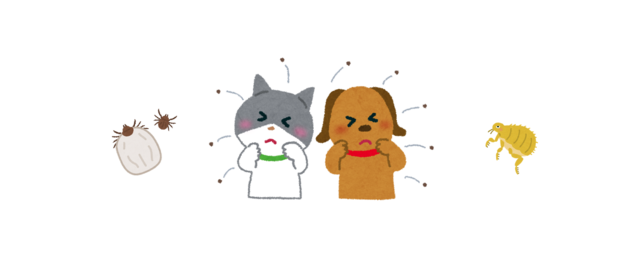 スクリーンショット 2024-07-28 14.38.02.png