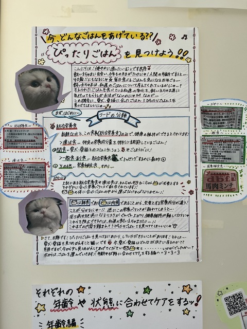 IMG_8875.jpeg